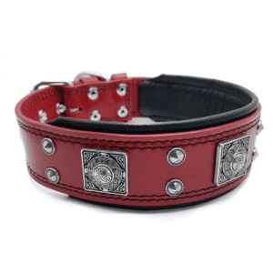 Eros Leather Dog Collar