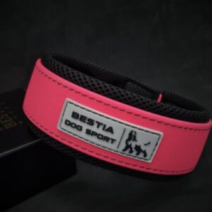 Pink Sport Dog Collar