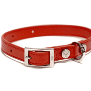 Dog Collar - The Italian Taylor Ruby Leather