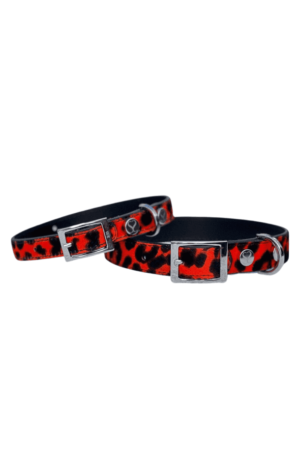 Dog Collar - The Italian Taylor Red Leopard