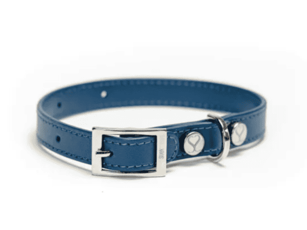 Dog Collar -The Italian Taylor Cobalt Leather