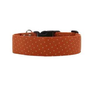 Rust Orange Dog Collar