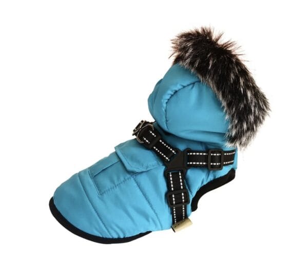 Dog Coat - Rocky Mountain Hooded for Small Dogs