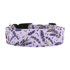 Dog Collar - Purple Lavender Flower