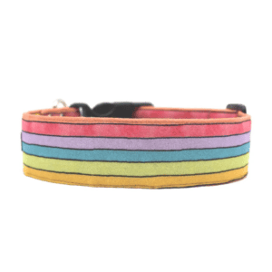 Dog Collar - Watercolor Rainbow Stripe