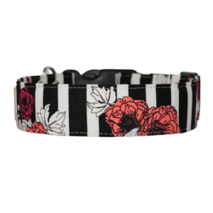 Dog Collar - Black and White Stripe Poppy Flowers - the Paris