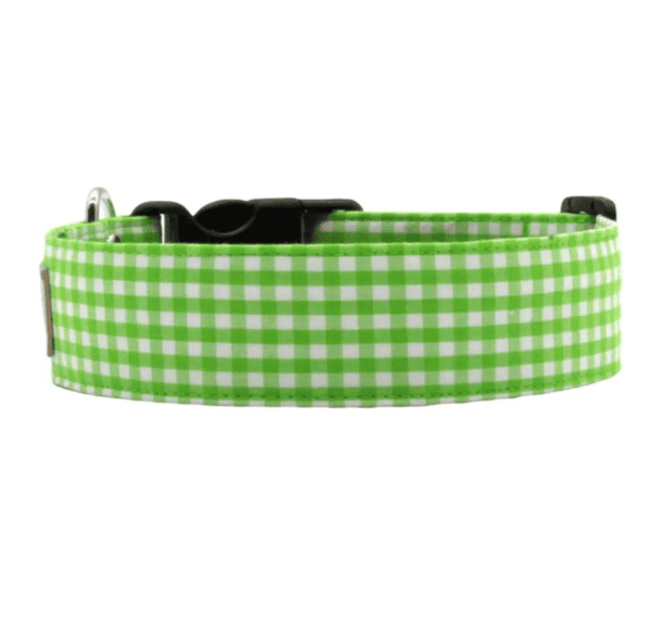 Green and White Gingham Dog Collar