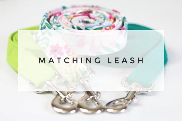 Matching Leash